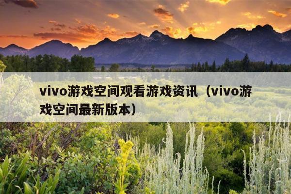 vivo游戏空间观看游戏资讯（vivo游戏空间最新版本）