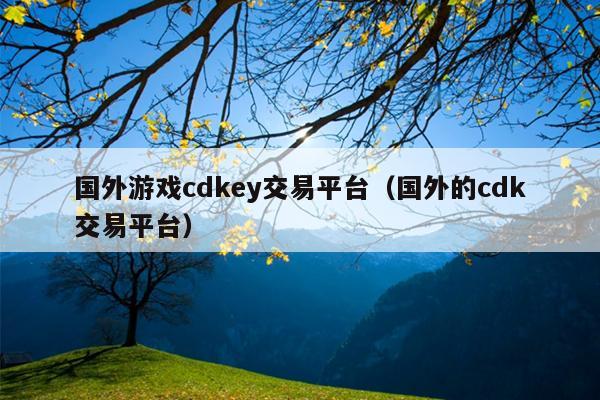 国外游戏cdkey交易平台（国外的cdk交易平台）