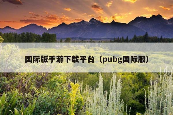 国际版手游下载平台（pubg国际服）