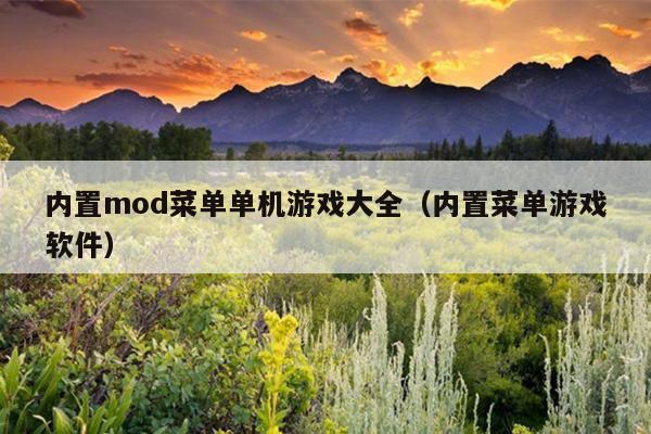 内置mod菜单单机游戏大全（内置菜单游戏软件）