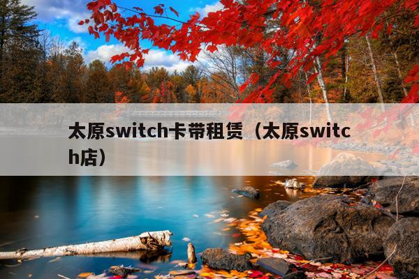 太原switch卡带租赁（太原switch店）