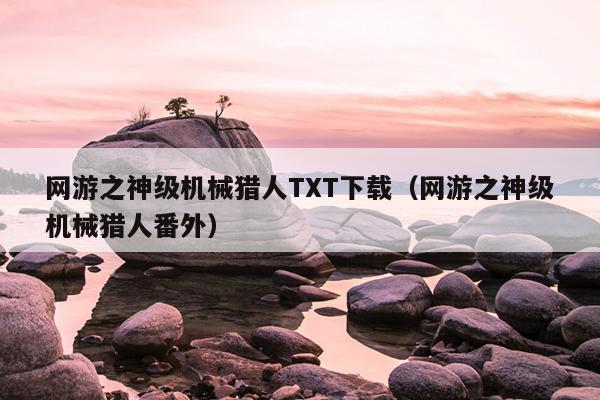 网游之神级机械猎人TXT下载（网游之神级机械猎人番外）