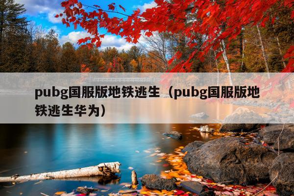 pubg国服版地铁逃生（pubg国服版地铁逃生华为）