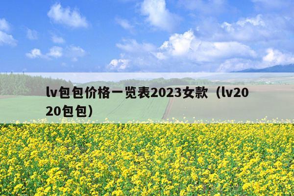 lv包包价格一览表2023女款（lv2020包包）