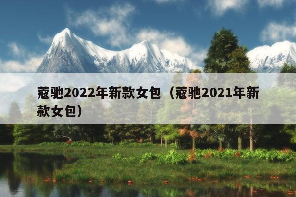 蔻驰2022年新款女包（蔻驰2021年新款女包）