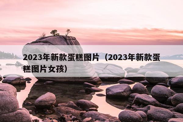 2023年新款蛋糕图片（2023年新款蛋糕图片女孩）