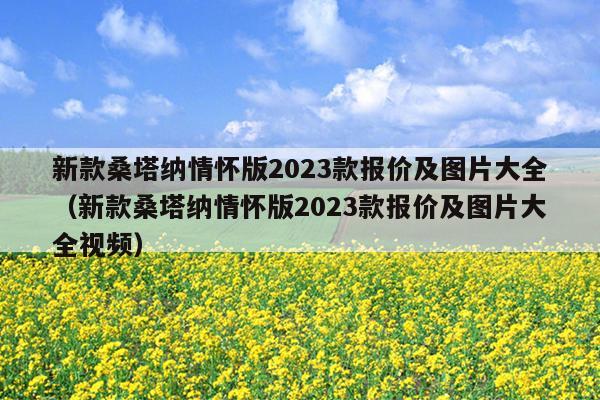 新款桑塔纳情怀版2023款报价及图片大全（新款桑塔纳情怀版2023款报价及图片大全视频）