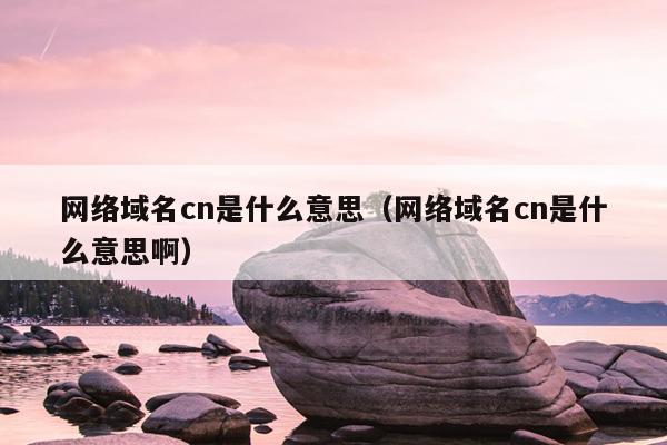 网络域名cn是什么意思（网络域名cn是什么意思啊）