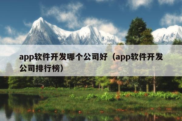 app软件开发哪个公司好（app软件开发公司排行榜）