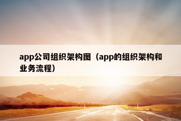 app公司组织架构图（app的组织架构和业务流程）