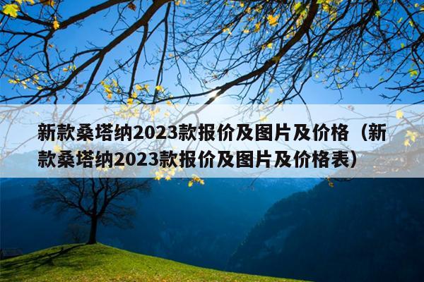 新款桑塔纳2023款报价及图片及价格（新款桑塔纳2023款报价及图片及价格表）