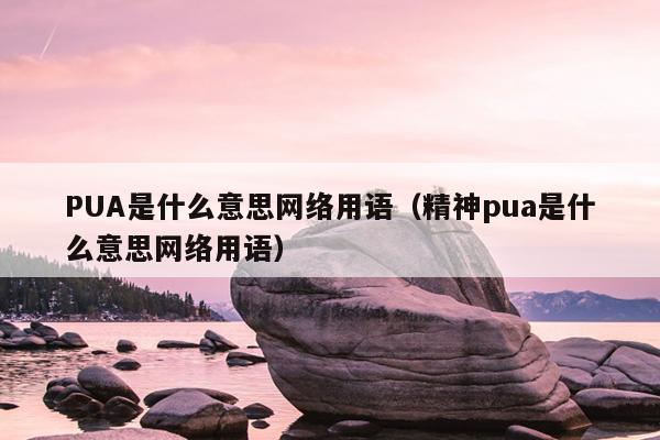 PUA是什么意思网络用语（精神pua是什么意思网络用语）