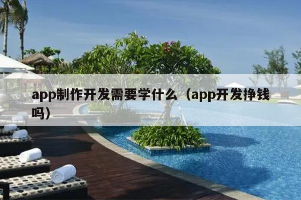 app制作开发需要学什么（app开发挣钱吗）