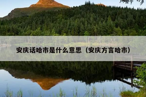 安庆话哈市是什么意思（安庆方言哈市）