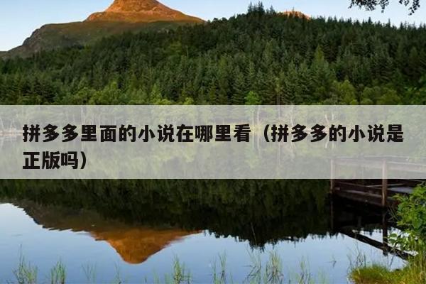 拼多多里面的小说在哪里看（拼多多的小说是正版吗）