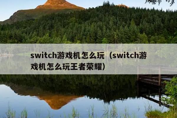 switch游戏机怎么玩（switch游戏机怎么玩王者荣耀）