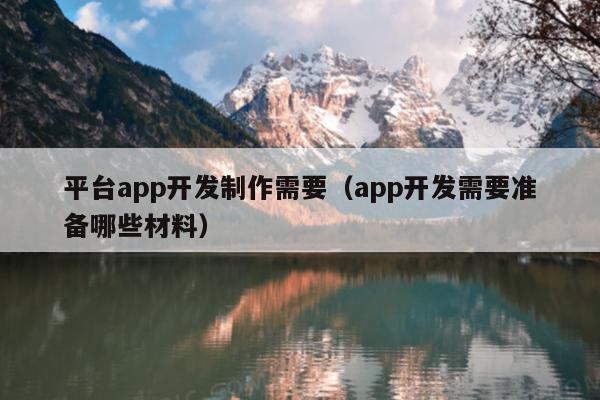 平台app开发制作需要（app开发需要准备哪些材料）