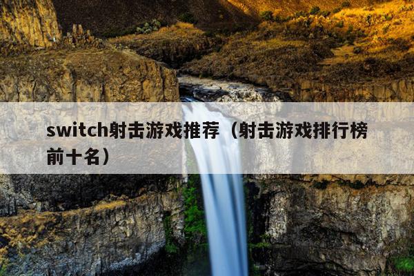 switch射击游戏推荐（射击游戏排行榜前十名）