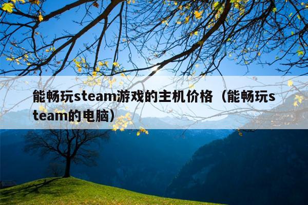 能畅玩steam游戏的主机价格（能畅玩steam的电脑）