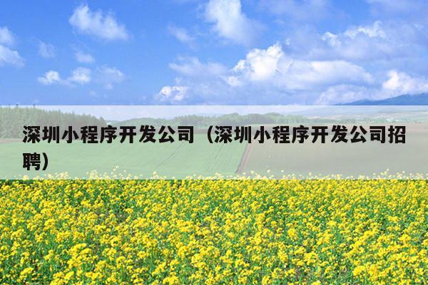 深圳小程序开发公司（深圳小程序开发公司招聘）