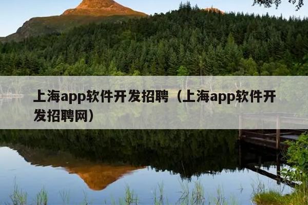 上海app软件开发招聘（上海app软件开发招聘网）