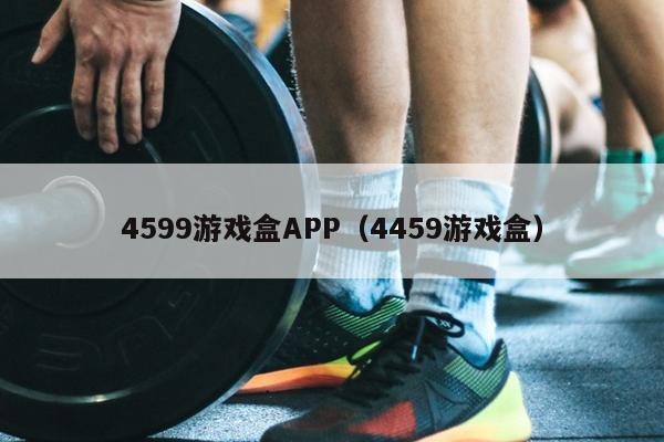 4599游戏盒APP（4459游戏盒）