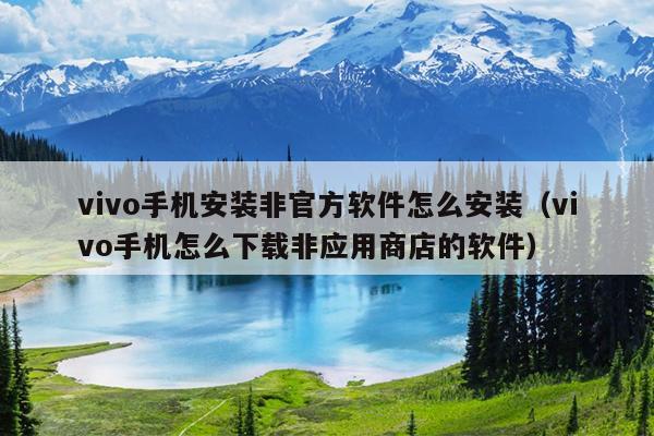 vivo手机安装非官方软件怎么安装（vivo手机怎么下载非应用商店的软件）