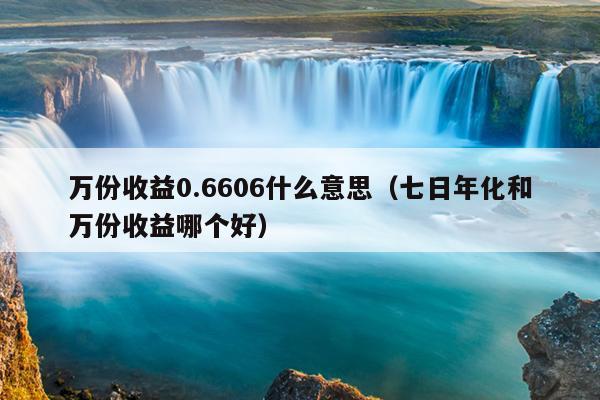 万份收益0.6606什么意思（七日年化和万份收益哪个好）