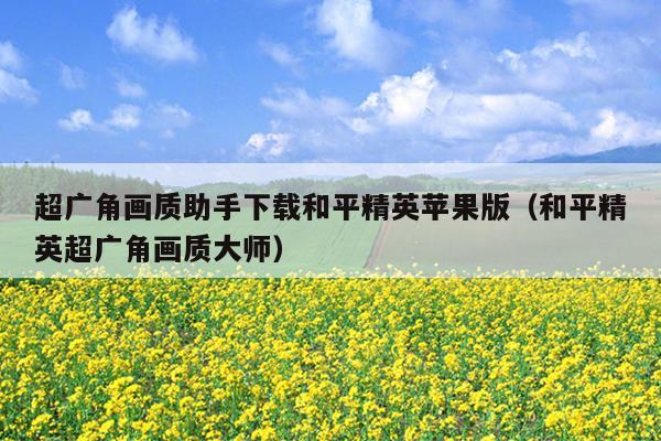 超广角画质助手下载和平精英苹果版（和平精英超广角画质大师）