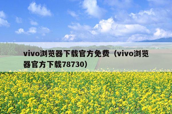 vivo浏览器下载官方免费（vivo浏览器官方下载78730）