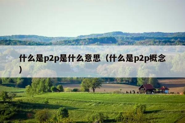 什么是p2p是什么意思（什么是p2p概念）