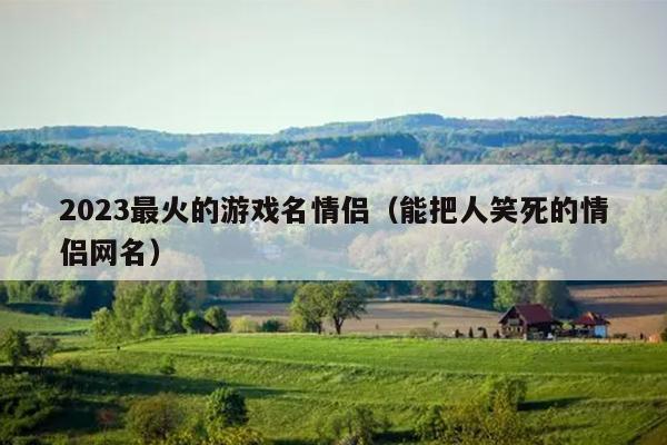 2023最火的游戏名情侣（能把人笑死的情侣网名）