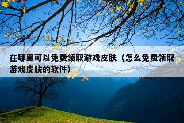 在哪里可以免费领取游戏皮肤（怎么免费领取游戏皮肤的软件）