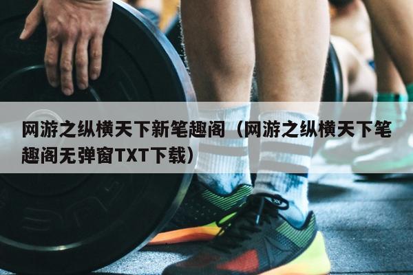 网游之纵横天下新笔趣阁（网游之纵横天下笔趣阁无弹窗TXT下载）