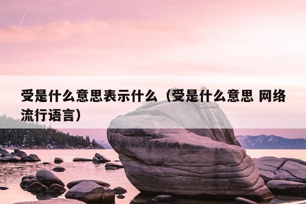 受是什么意思表示什么（受是什么意思 网络流行语言）