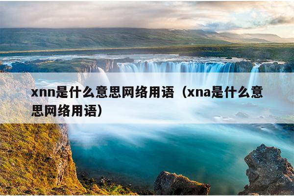 xnn是什么意思网络用语（xna是什么意思网络用语）