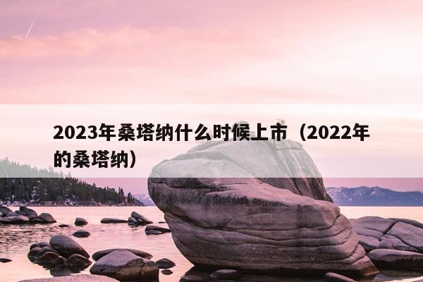 2023年桑塔纳什么时候上市（2022年的桑塔纳）