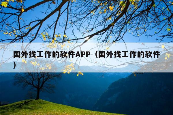 国外找工作的软件APP（国外找工作的软件）