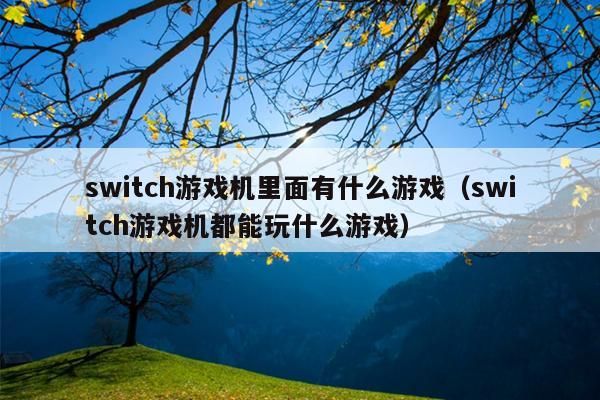 switch游戏机里面有什么游戏（switch游戏机都能玩什么游戏）