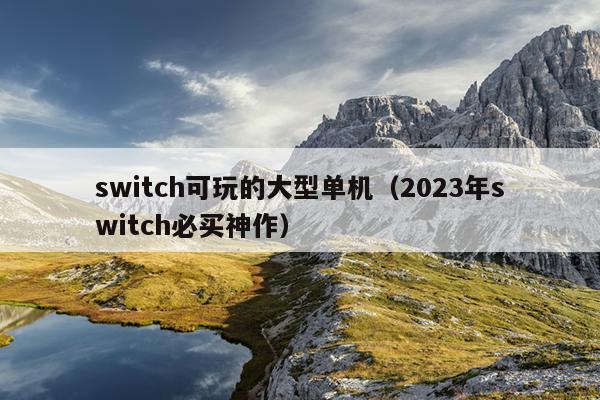 switch可玩的大型单机（2023年switch必买神作）