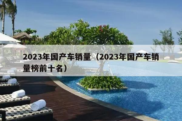 2023年国产车销量（2023年国产车销量榜前十名）