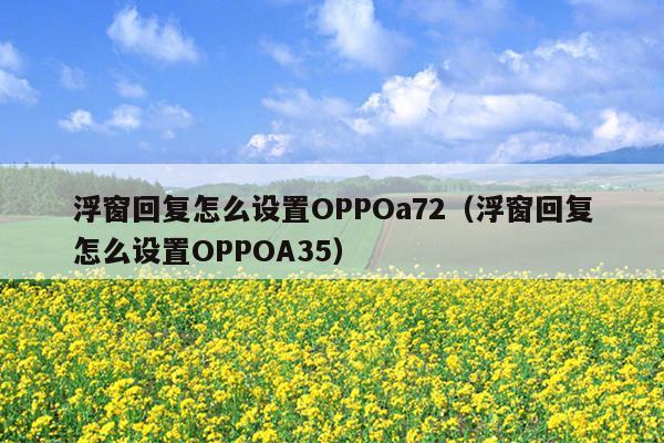 浮窗回复怎么设置OPPOa72（浮窗回复怎么设置OPPOA35）