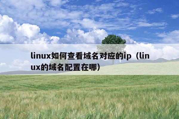 linux如何查看域名对应的ip（linux的域名配置在哪）