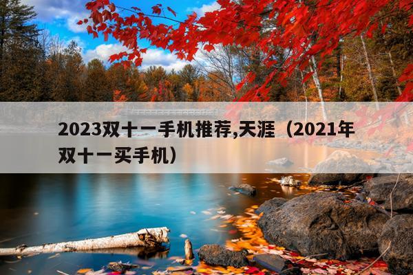 2023双十一手机推荐,天涯（2021年双十一买手机）