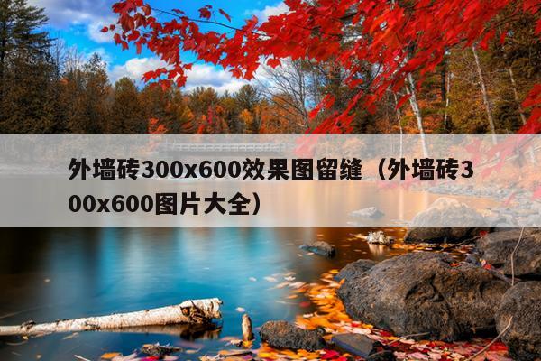 外墙砖300x600效果图留缝（外墙砖300x600图片大全）