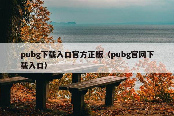 pubg下载入口官方正版（pubg官网下载入口）