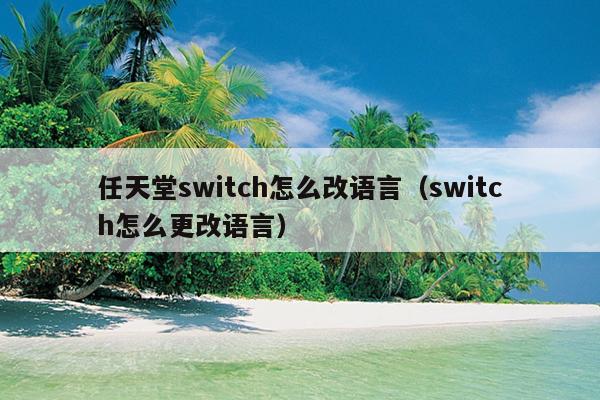 任天堂switch怎么改语言（switch怎么更改语言）