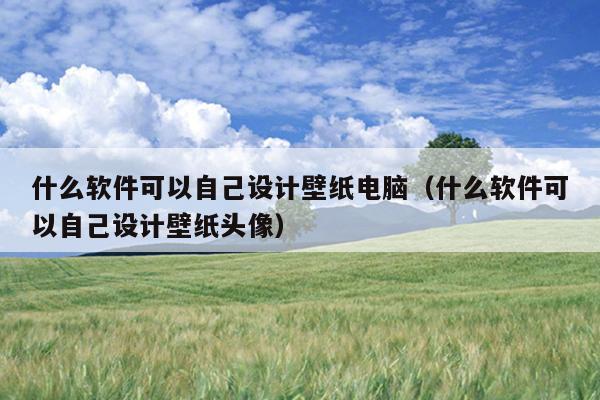 什么软件可以自己设计壁纸电脑（什么软件可以自己设计壁纸头像）