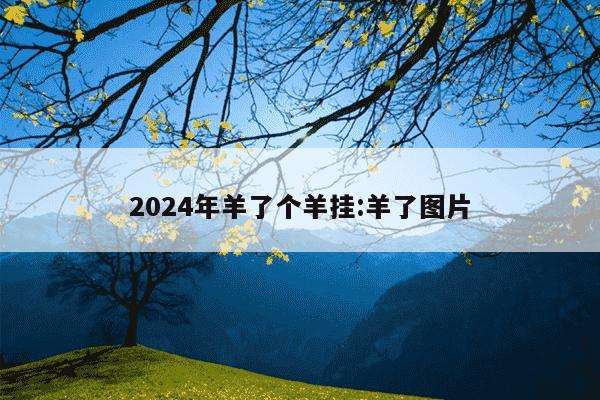 2024年羊了个羊挂:羊了图片