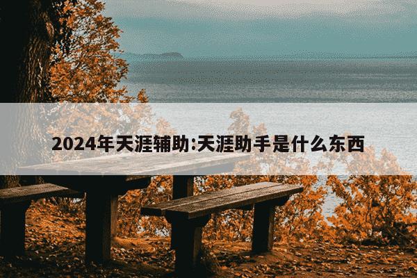 2024年天涯辅助:天涯助手是什么东西